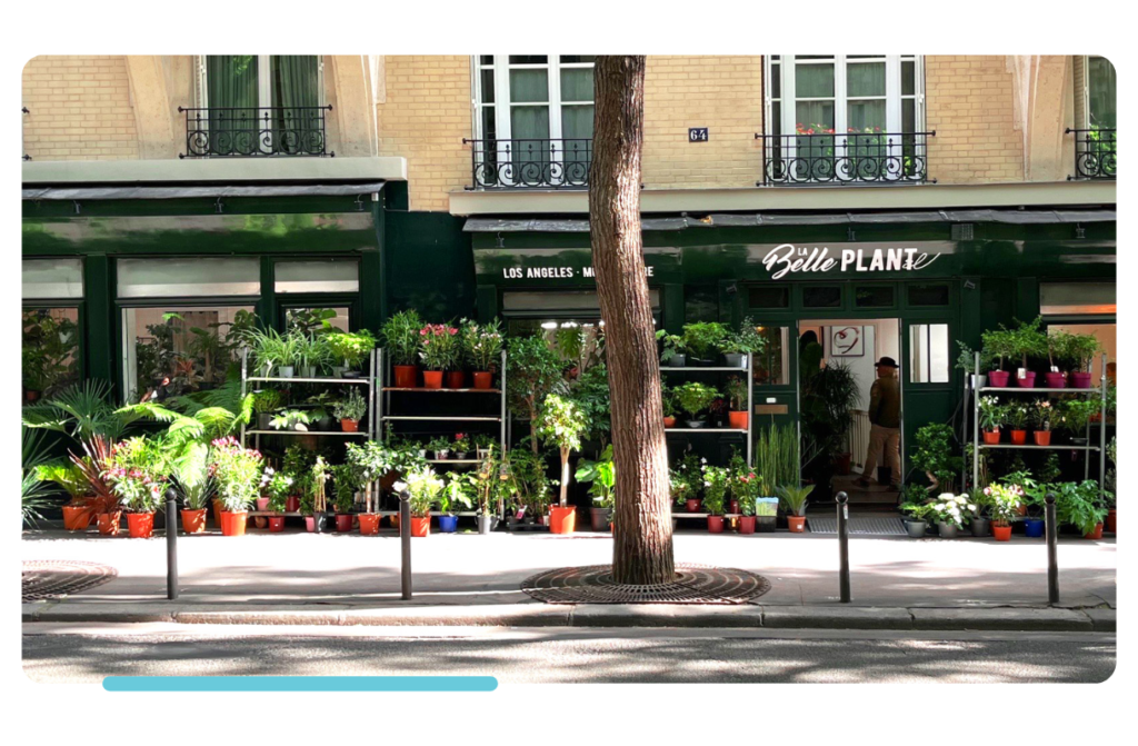 Façade de notre boutique de plantes à Montmartre, Paris