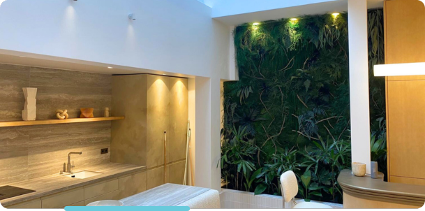 Mur végétal stabilisé pour professionnels, décoration artisanale Montmartre Paris