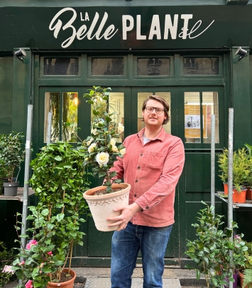 Plantes d’extérieur pour jardin et balcon, boutique Montmartre Paris