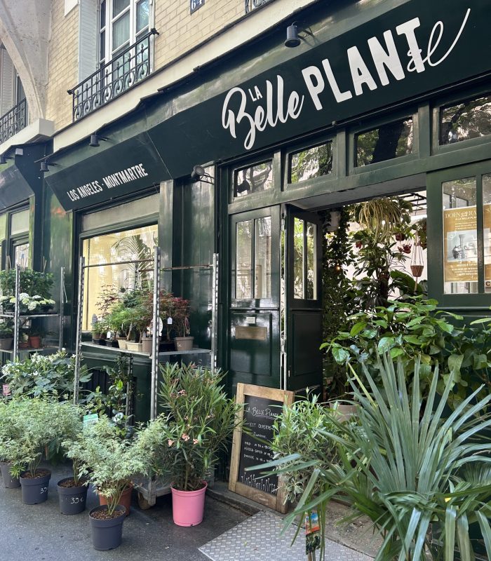 plantes-exterieur-terrasse-jardin-montmartre Arbustes et plantes d’extérieur pour terrasse ou jardin, boutique Montmartre Paris 18